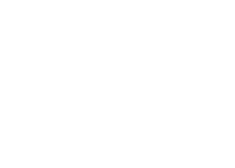 Lintavy logo