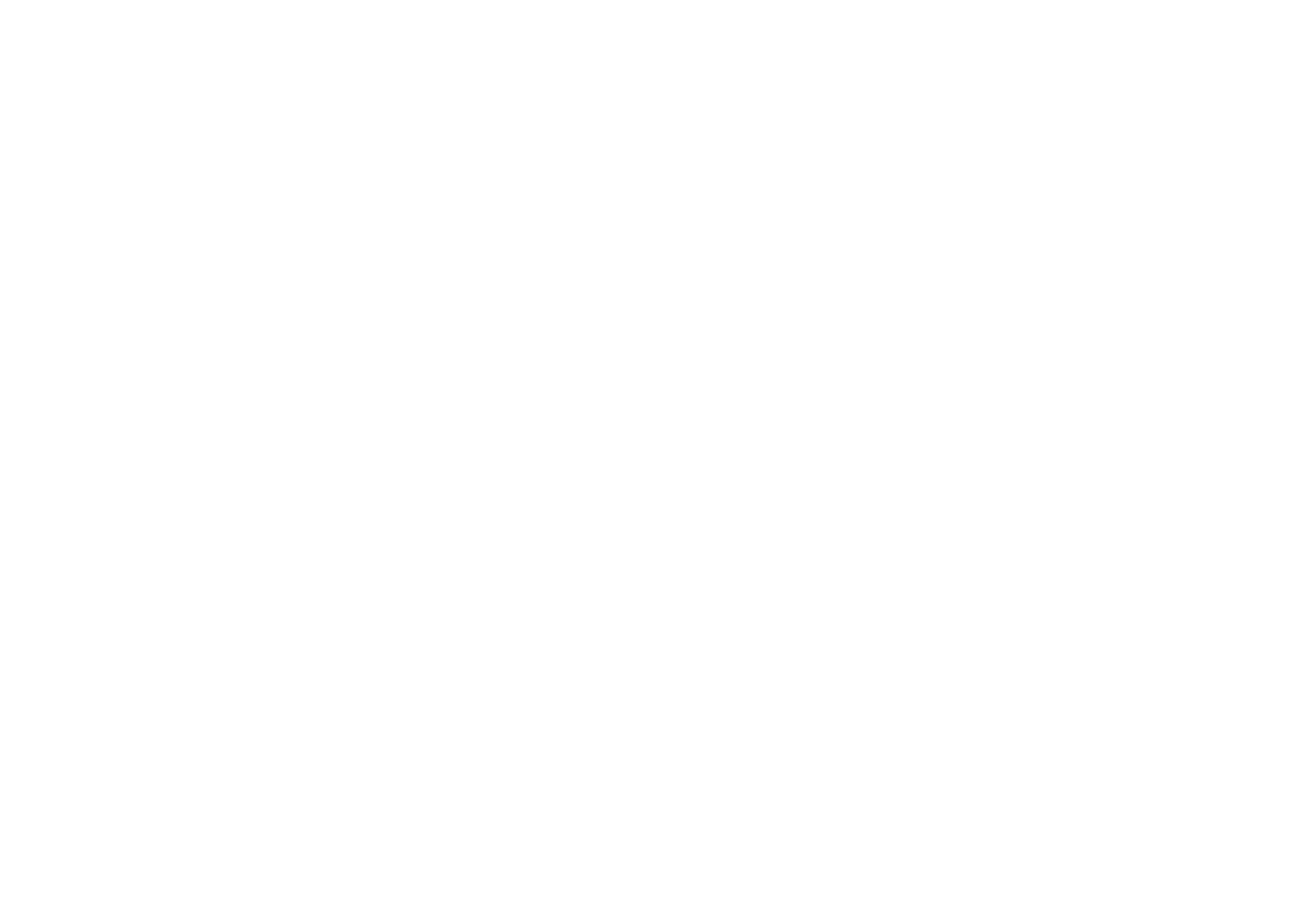 Dragon Trails
