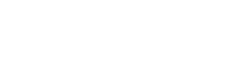 VASI s.r.o. – logo