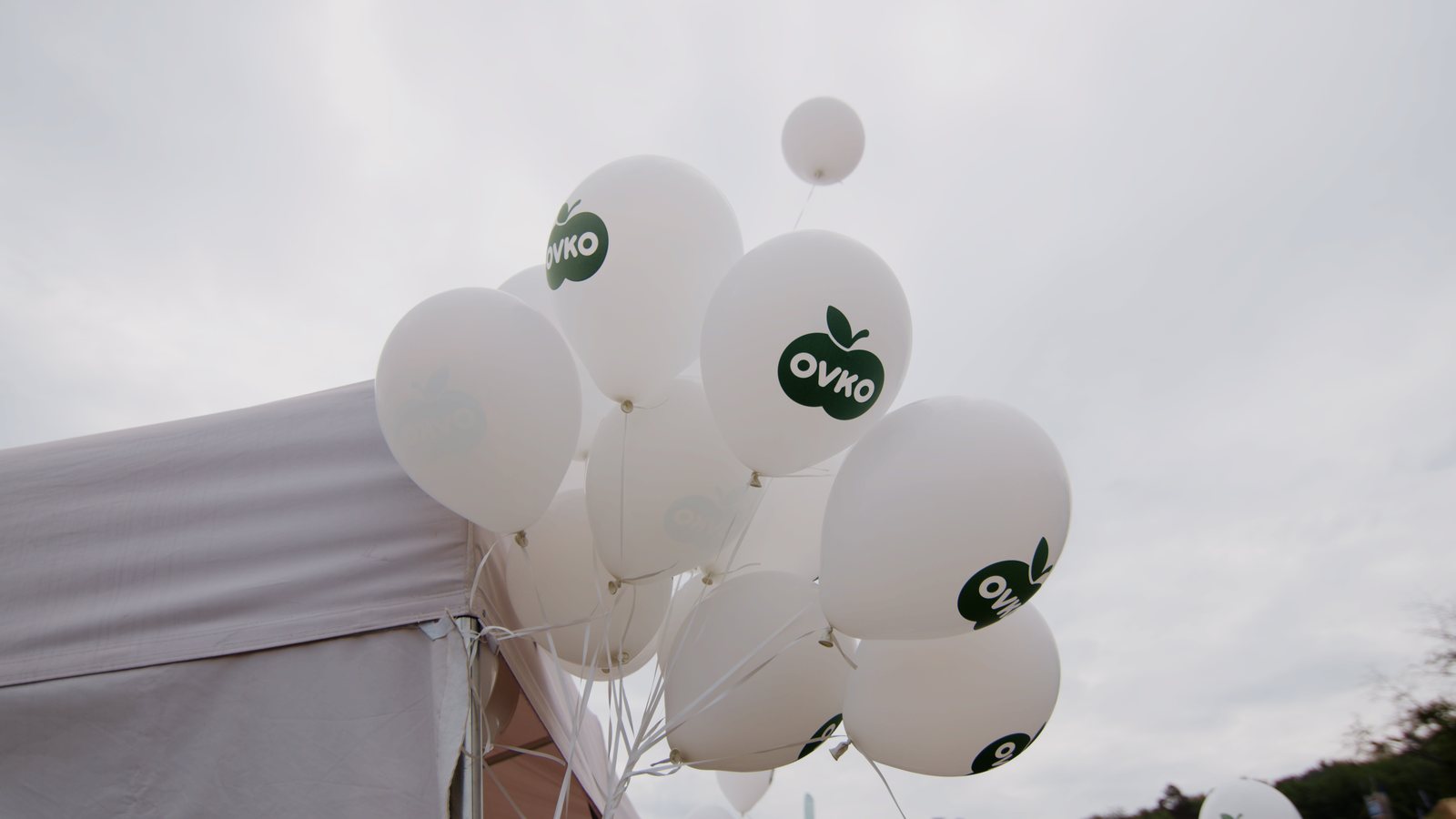 OVKO u2013 balu00f3ny s logom